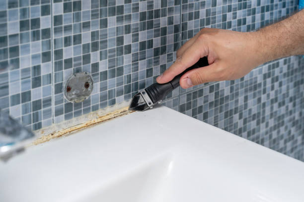 Trusted Springfield, MA Mold Removal Experts